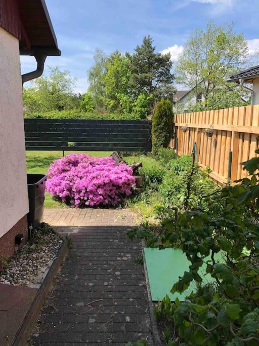 Gemuetlicher Bungalow In Cottbus - Sielow エクステリア 写真